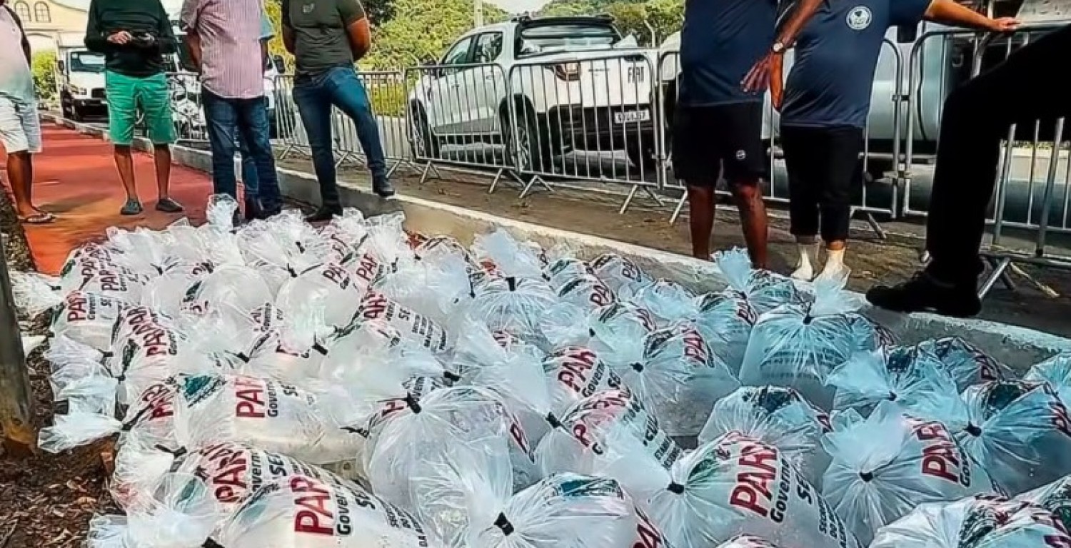 Prefeitura de Sobrado fortalece a piscicultura com a distribui��o alevinos para produtores cadastrados
